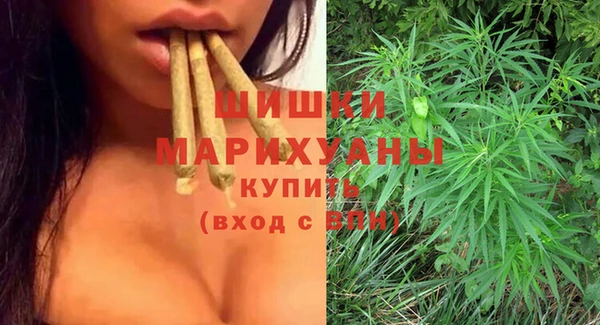 прущие грибы Вязники