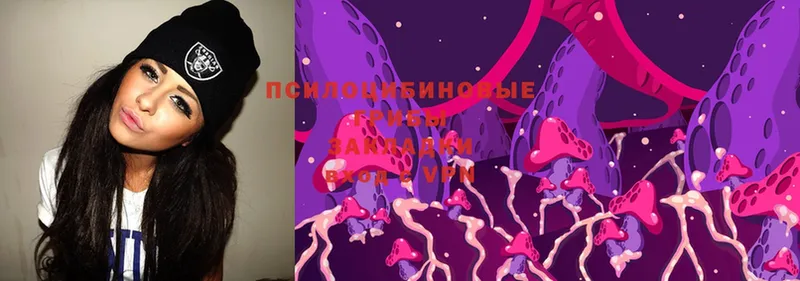 Псилоцибиновые грибы MAGIC MUSHROOMS  сайты даркнета как зайти  Шлиссельбург  где можно купить наркотик 